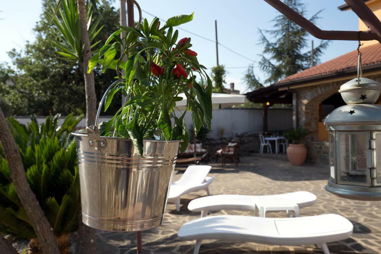 B&B Fasolino Montecorice Eksteriør bilde